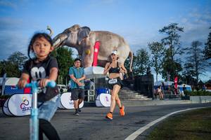 BIB: 
                            <button type="button" onclick="openModal(26541884)" class="btn btn-primary btn-sm float-right btn-popup" data-toggle="modal" data-target=".modal-high-quality">
                        <i class="fas fa-shopping-cart"></i> Add to Cart
                    </button>
                                            <button type="button" onclick="isThisMe(26541884, true)" class="btn btn-success btn-sm float-right btn-popup btn-isme hidden" data-toggle="tooltip" data-placement="bottom" title="นี่คือรูปของคุณใช่ไหม คลิกที่นี่เพื่อเอาเข้าอัลบั้ม">
                        <i class="fas fa-plus"></i> Add to album
                    </button>
                    <button type="button" onclick="isThisMe(26541884, false)" class="btn btn-warning btn-sm float-right btn-popup btn-isnotme hidden">
                        <i class="fas fa-ban"></i> Remove from album
                    </button>